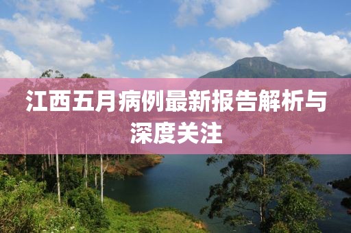 江西五月病例最新报告解析与深度关注