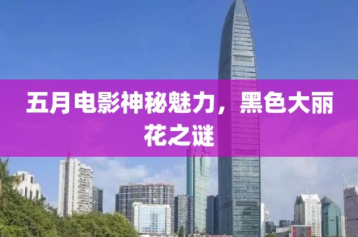 五月电影神秘魅力，黑色大丽花之谜