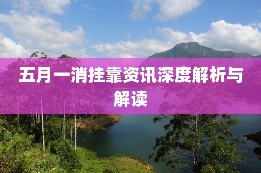五月一消挂靠资讯深度解析与解读
