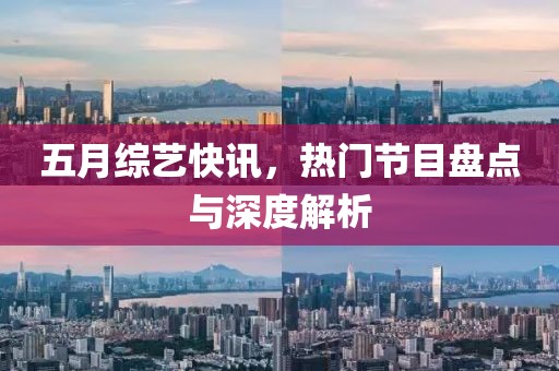 五月综艺快讯，热门节目盘点与深度解析