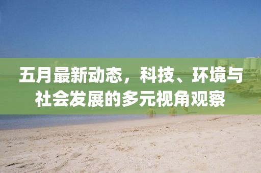 五月最新动态，科技、环境与社会发展的多元视角观察