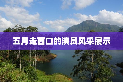 五月走西口的演员风采展示