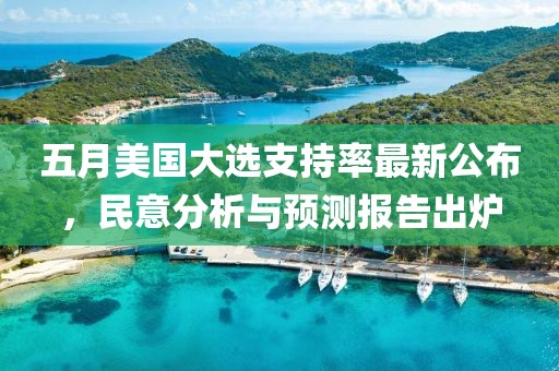 五月美国大选支持率最新公布，民意分析与预测报告出炉