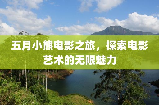 五月小熊电影之旅，探索电影艺术的无限魅力