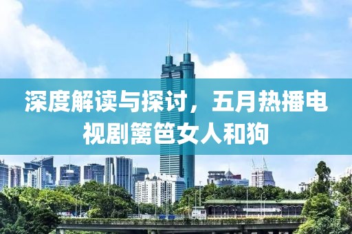 深度解读与探讨，五月热播电视剧篱笆女人和狗