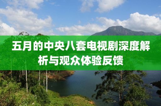 五月的中央八套电视剧深度解析与观众体验反馈