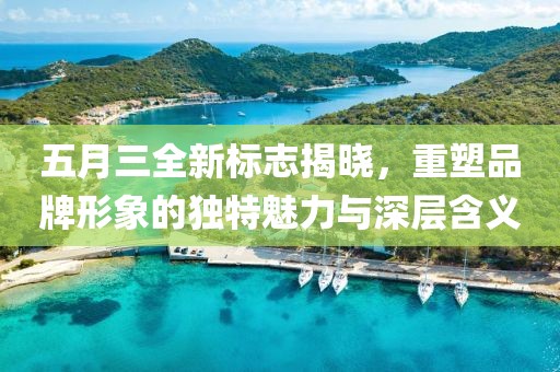 五月三全新标志揭晓，重塑品牌形象的独特魅力与深层含义