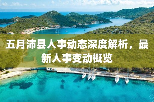 五月沛县人事动态深度解析，最新人事变动概览