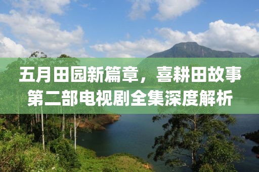 五月田园新篇章，喜耕田故事第二部电视剧全集深度解析