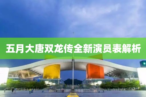 五月大唐双龙传全新演员表解析