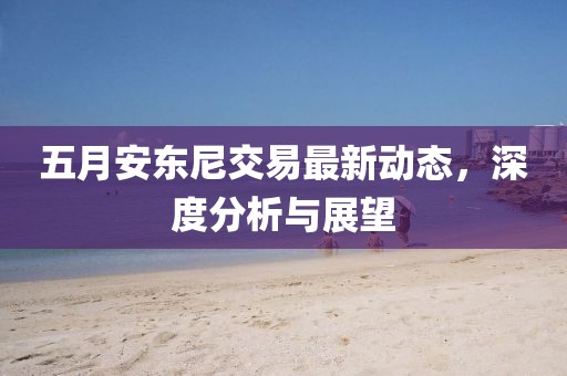 五月安东尼交易最新动态，深度分析与展望