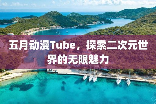 五月动漫Tube，探索二次元世界的无限魅力