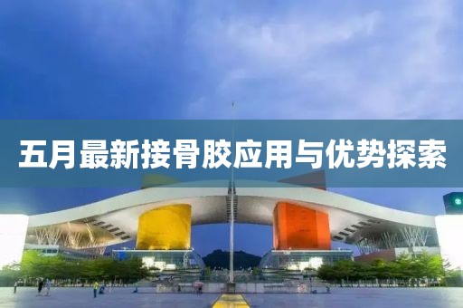 五月最新接骨胶应用与优势探索