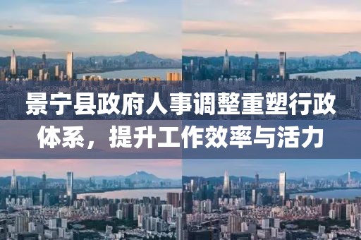 景宁县政府人事调整重塑行政体系，提升工作效率与活力