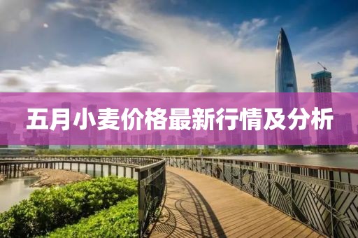 五月小麦价格最新行情及分析