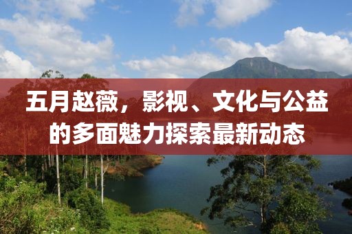 五月赵薇，影视、文化与公益的多面魅力探索最新动态