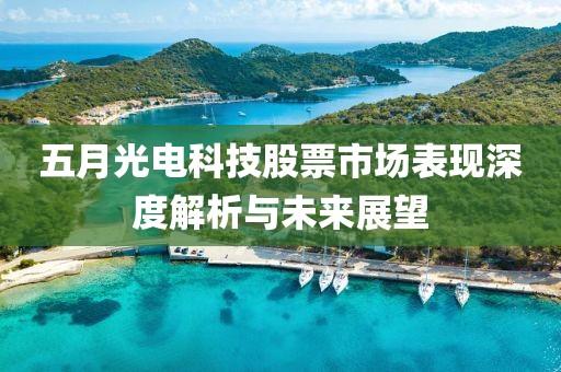 五月光电科技股票市场表现深度解析与未来展望