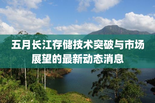 五月长江存储技术突破与市场展望的最新动态消息