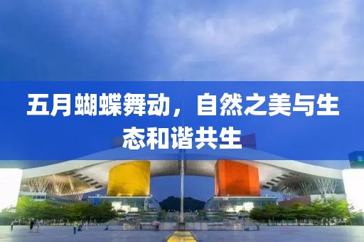 五月蝴蝶舞动，自然之美与生态和谐共生