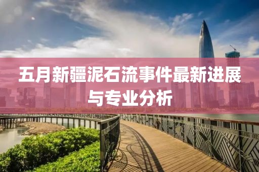 五月新疆泥石流事件最新进展与专业分析