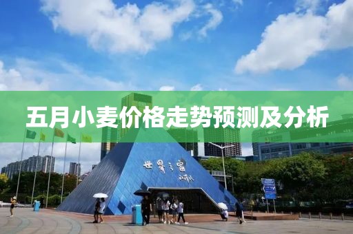 五月小麦价格走势预测及分析