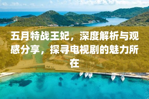五月特战王妃，深度解析与观感分享，探寻电视剧的魅力所在