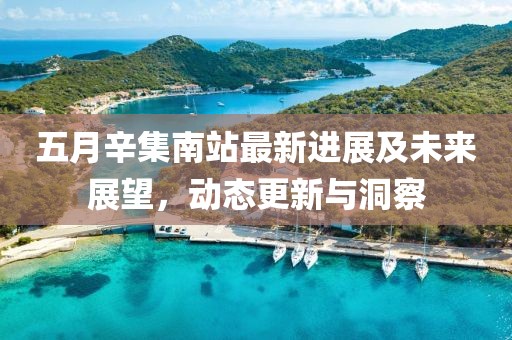 五月辛集南站最新进展及未来展望，动态更新与洞察