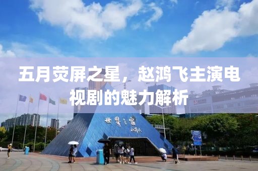五月荧屏之星，赵鸿飞主演电视剧的魅力解析