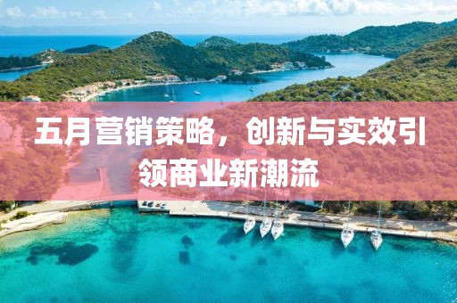 五月营销策略，创新与实效引领商业新潮流