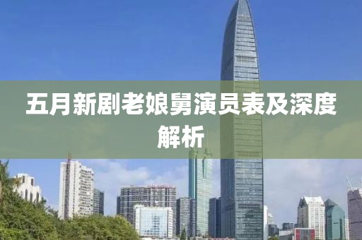 五月新剧老娘舅演员表及深度解析