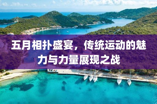 五月相扑盛宴，传统运动的魅力与力量展现之战