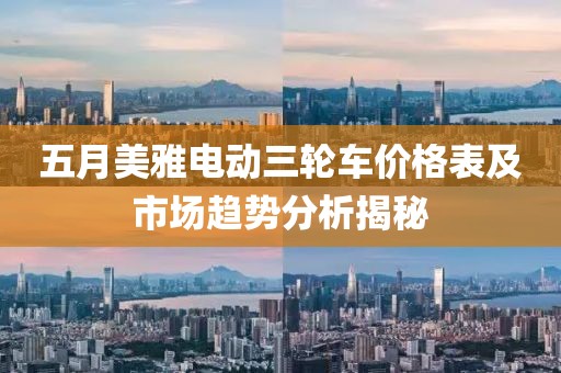 五月美雅电动三轮车价格表及市场趋势分析揭秘