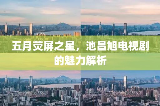 五月荧屏之星，池昌旭电视剧的魅力解析