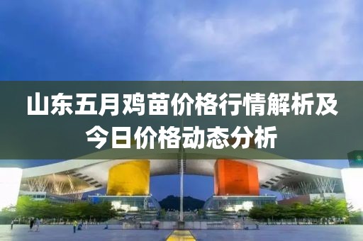 山东五月鸡苗价格行情解析及今日价格动态分析