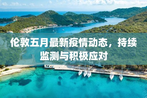 伦敦五月最新疫情动态，持续监测与积极应对