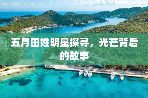 五月田姓明星探寻，光芒背后的故事
