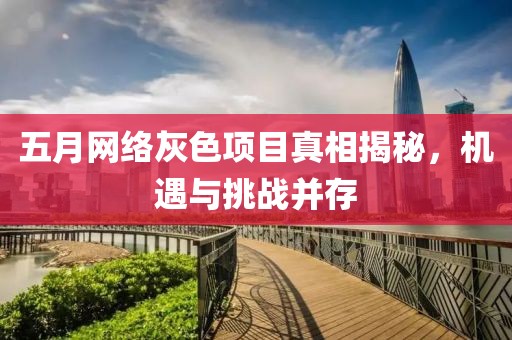 五月网络灰色项目真相揭秘，机遇与挑战并存