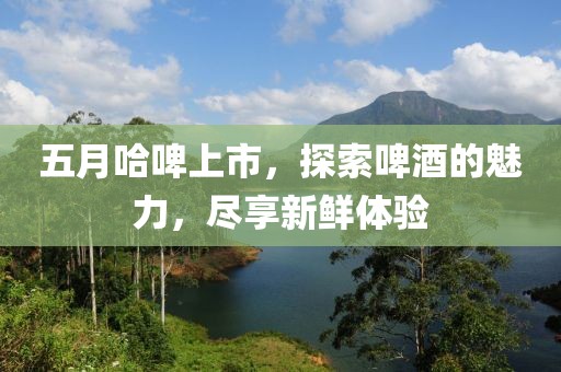 五月哈啤上市，探索啤酒的魅力，尽享新鲜体验