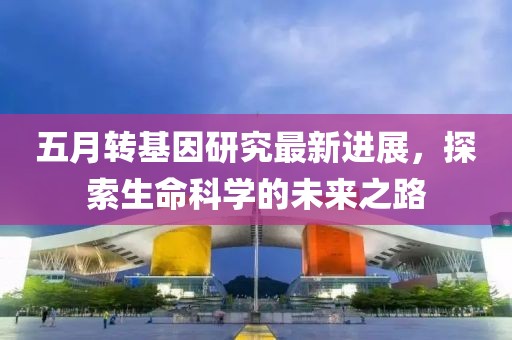 五月转基因研究最新进展，探索生命科学的未来之路