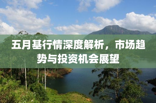 五月基行情深度解析，市场趋势与投资机会展望