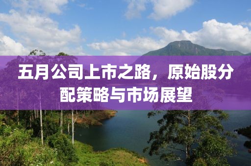 五月公司上市之路，原始股分配策略与市场展望