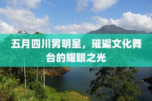 五月四川男明星，璀璨文化舞台的耀眼之光