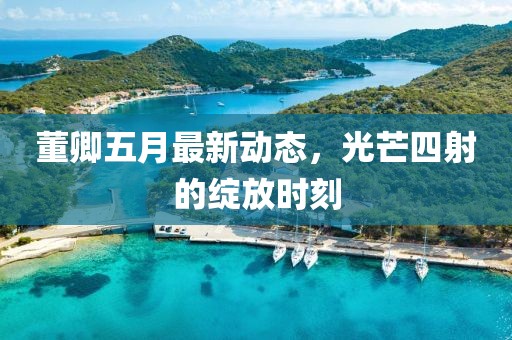 董卿五月最新动态，光芒四射的绽放时刻