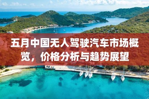 五月中国无人驾驶汽车市场概览，价格分析与趋势展望