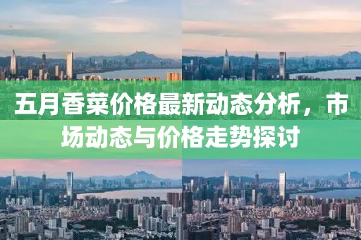 五月香菜价格最新动态分析，市场动态与价格走势探讨