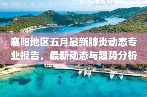 襄阳地区五月最新肺炎动态专业报告，最新动态与趋势分析