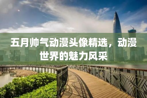 五月帅气动漫头像精选，动漫世界的魅力风采