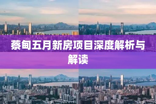 蔡甸五月新房项目深度解析与解读