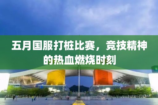 五月国服打桩比赛，竞技精神的热血燃烧时刻
