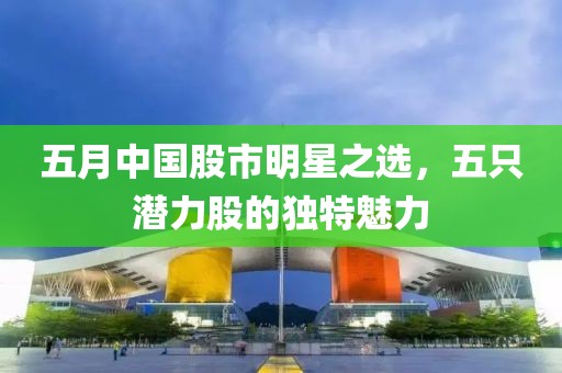 五月中国股市明星之选，五只潜力股的独特魅力